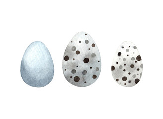 Watercolor illustration of Easter egg. Hand-painted small decorative spotted eggs isolated on transparent background.