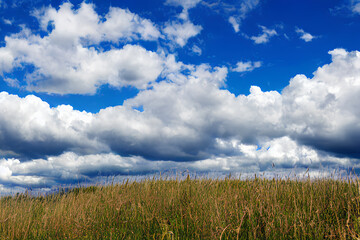 White heap clouds in a blue sky. Below is a clearing with green grass. Sunny summer day