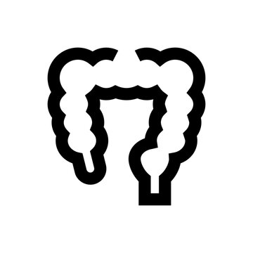 Large Intestine Line Icon