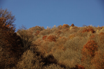 A mountain river flows in the middle of the city on a sunny day