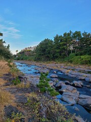 Rivers of Jeju, South Korea