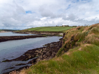 Thick wild grass grows on the rocky shore of the Atlantic Ocean in the south of Ireland. Picturesque seaside landscape. Beautiful cloudy sky. Nature.