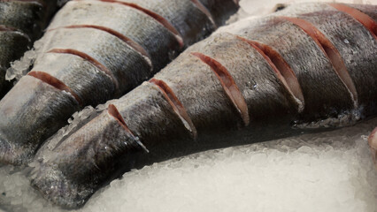 Fresh raw salmon, sturgeon, dorado fish and sea bass lie on the counter with ice in the fish...