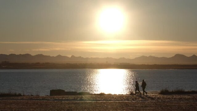 A couple jogging with their dog under morning sun Reykjavik Iceland