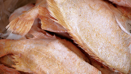 Fresh raw salmon, sturgeon, dorado fish and sea bass lie on the counter with ice in the fish market. Open shelf in a seafood store. Close-up.