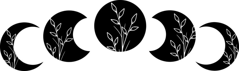 Moon cycle with wild flowers, vector art