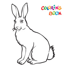Bunny coloring page. Design for Kids. Children preschool illustration. Coloring pages for kids