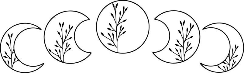 Moon cycle with wild flowers, vector art