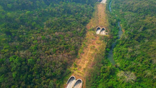 Drone footage of wildlife corridor bridges captures the innovative solutions used to mitigate the impact of roads and highways on wildlife movement, human infrastructure can coexist with nature. 4K

