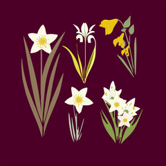 Vector cute flat spring flowers icons set. First blooming plants illustration. Floral clip art collection