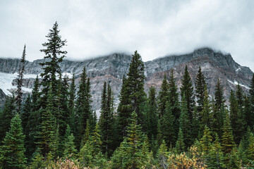 Majestic mountain landscape in Canada during autumn