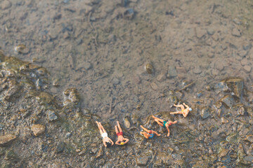 Miniature people wearing swimsuit relaxing on the beach