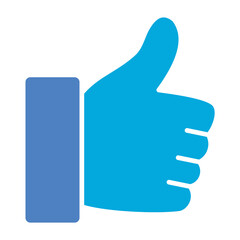 Like Glyph Two Color Icon