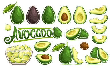 Vector Avocado Set, banner with collection of cut out illustrations veggie still life composition with green leaves, ripe chopped avocado in glass dish, group of various oily fruits and text avocado - obrazy, fototapety, plakaty