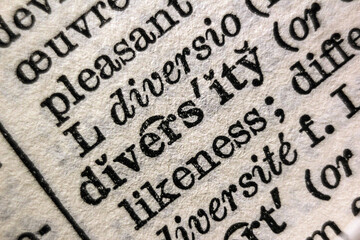 Word "diversity" printed on book page, macro close-up	
