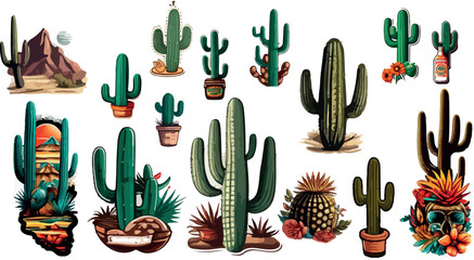 Collection of different cactus - obrazy, fototapety, plakaty