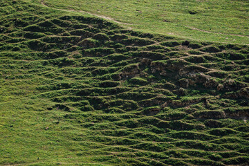 Texture of Goat Trails, Umm Qais Jordan
