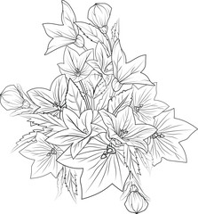 Sketch bell flower drawing, Illustration bellflower drawing, Bouquet of bellflower hand drawn pencil sketch, coloring pages for adults isolated on white background floral element, Belflower tattoo.