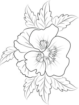 recommend clip art: pansy flower drawing, pansy flowers illustration coloring page, simplicity, Embellishment, monochrome, vector art, Outline print with blossoms pansy flower, 