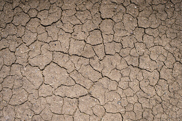 Dry soil background. Texture of dry land in drought and hot weather