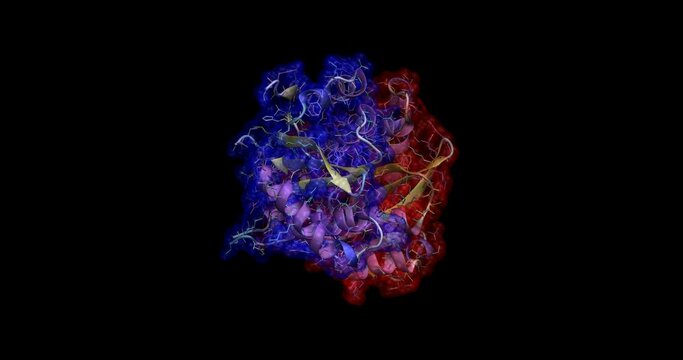 HIV-1 Integrase catalytic core domain,protein 3D molecule spinning 4K