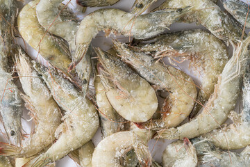 Frozen green shrimp under monochrome background monochrome