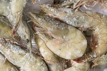 Frozen green shrimp under monochrome background monochrome