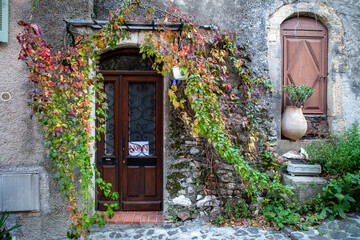 Fototapeta na wymiar old house with wall vegetation in region Nice