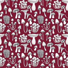 Seamless pattern with hand drawn mushrooms. Illustration in sketch style.