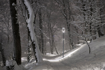 Winter night in Brasov, Romania