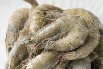 Frozen green shrimp under monochrome background monochrome