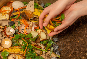organic compost - biodegradable kitchen waste and soil. Layers of biowaste and soil