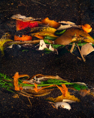 organic compost - biodegradable kitchen waste and soil. Layers of biowaste covered with soil