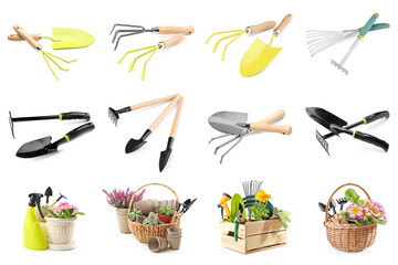 Collage of gardening supplies with plants on white background