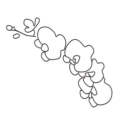 Orchid flower one line art. Line drawing of plants, herb, flower, blossom,. Sketch orchid branch, hand drawn