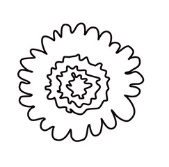gerbera or chamomile flower on white background. One line drawing style.