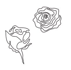 Set of Rose flower on white background. One line drawing style. Tattoo idea.