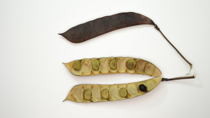 Caesalpinia pulcherrima fruits phases and seeds isolated. The common names are: peacock flower, Mexican bird of paradise, dwarf poinciana, pride of Barbados..
