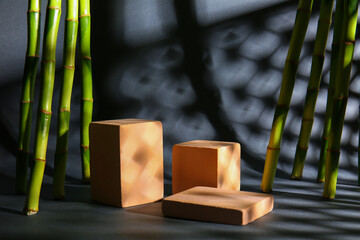 Green bamboo stems and plaster podiums on black background