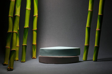Green bamboo stems and plaster podiums on black background