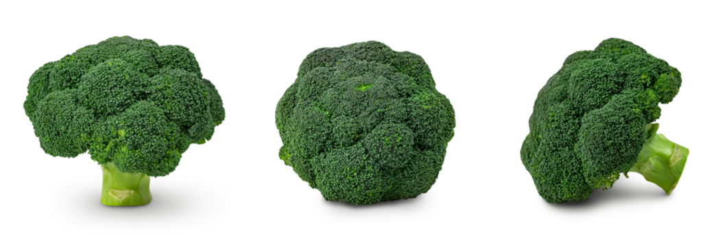 Fresh Broccoli cut out on transparent png