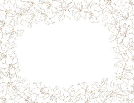 Lilly frame line art boarder for wedding invitation or card