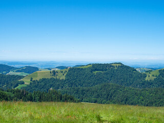 Zurich, Switzerland - June 12th 2022: View over a meadow towards the hills and forests in the Zurich region