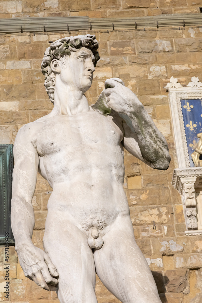 Canvas Prints david by michelangelo buonarroti in florence, italy. famous masterpiece male perfection.