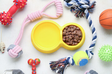 Composition with bowl of wet food and different pet care accessories on light background