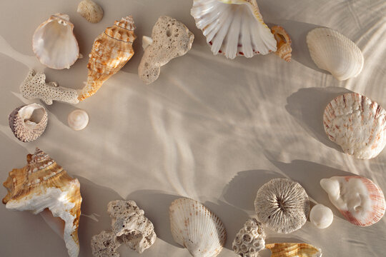 Sea Shells frame on a sandy background