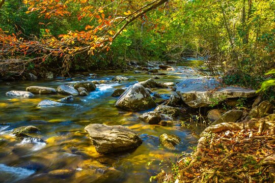 Jacob Fork Creek As It Winds Through South Mountain State Park, North Carolina