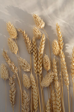 Wheat and grain grass on textured backrgound