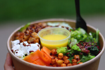 Healthy salad with various vegetables, chickpeas, feta cheese and sauce. Eating salad in the park. Selective focus.