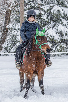 A girl who just loves horses and we&rsquo;re not gonna take It